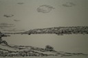 Shoreline Massachusetts (Pen & Ink) 1928